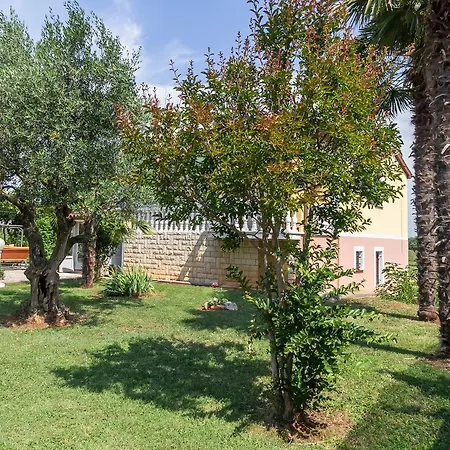 Lone Farmhouse Pensión