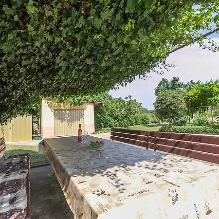 Lone Farmhouse Umag